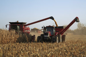 Combine augers being used to harvest Crops in a field